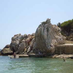 DSC04453