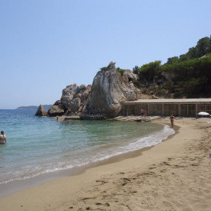 DSC04459