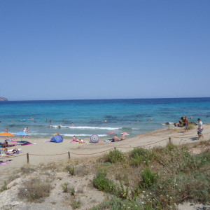 DSC04467