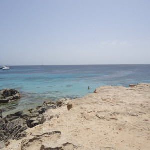 DSC04496