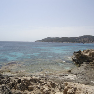 DSC04497