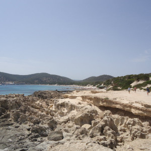 DSC04498