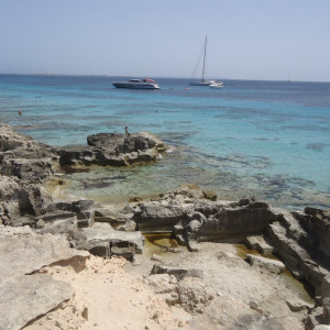 DSC04499