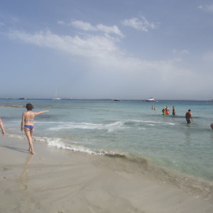 DSC04507