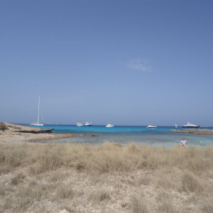 DSC04535