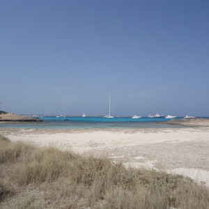 DSC04538