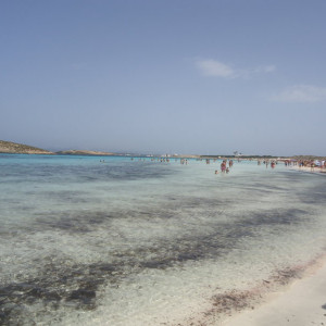 DSC04540
