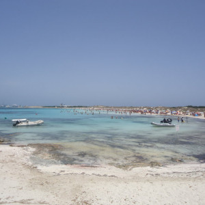 DSC04572