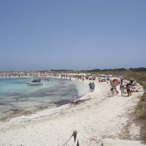 DSC04573