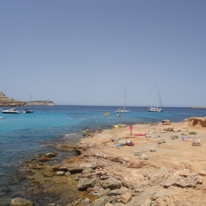 DSC04636