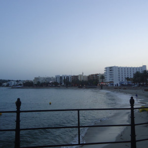 DSC04652