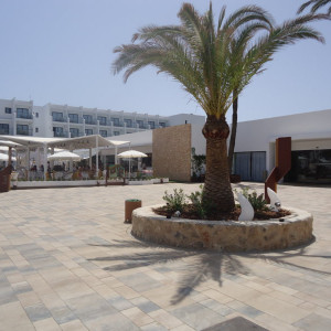 DSC04704