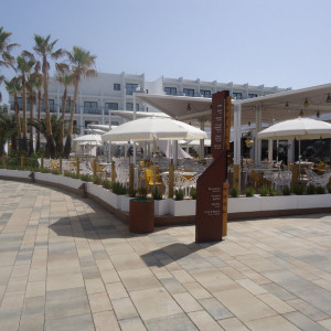 DSC04720