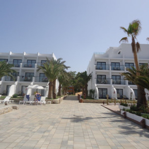 DSC04723