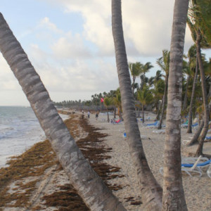 73 - PRAIA HOTEL RIU IMG_7855
