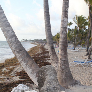 74 - PRAIA HOTEL RIU IMG_7856