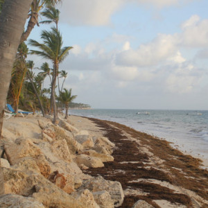 75 - PRAIA HOTEL RIU IMG_7858