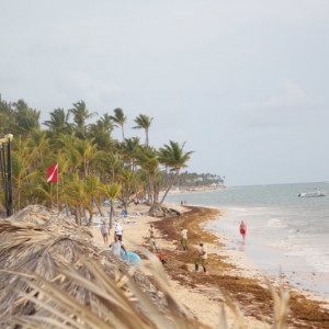 77 - PRAIA IMG_7735
