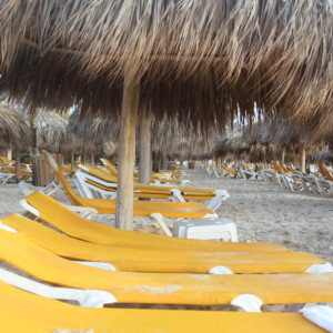 78 - PRAIA IMG_7819