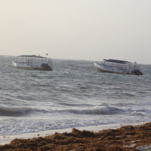 80 - PRAIA IMG_7955