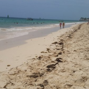 87 - PRAIA A MELHORAR 3 - 20150718_115533