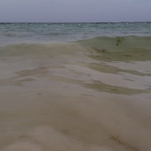 89 - PRAIA A MELHORAR 5 - 20150719_152630