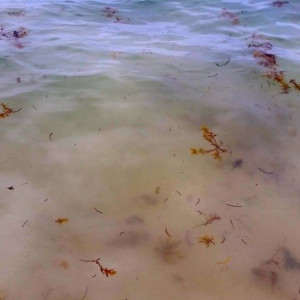 90 - PRAIA A MELHORAR 6 - 20150719_152650