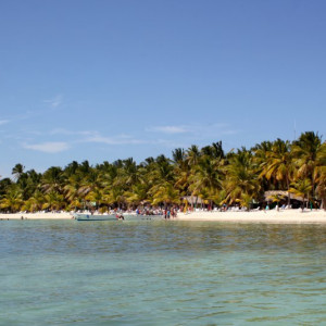 103 - SAONA IMG_7693