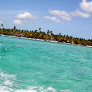 104 - SAONA IMG_7695