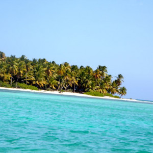 105 - SAONA IMG_7696