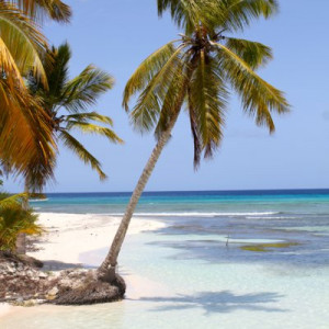 107 - SAONA IMG_7642