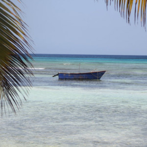 108 - SAONA IMG_7641
