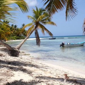 109 - SAONA IMG_7638