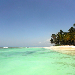 111 - SAONA DSCF1413