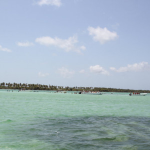 115 - VIAGEM SAONA MERGULHO IMG_7637