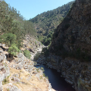 DSCF7023