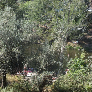 DSCF7120