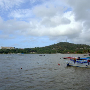 DSC_2576a (Copiar)