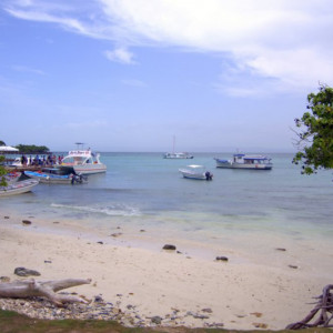 DSC_2846a (Copiar)