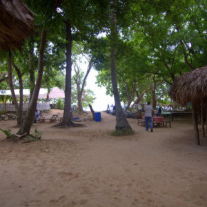 DSC_2850a (Copiar)