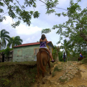 DSC_3231a (Copiar)