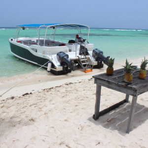 Isla Saona 2