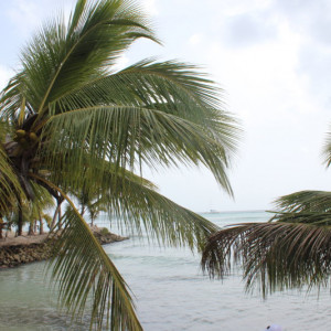 Isla Saona