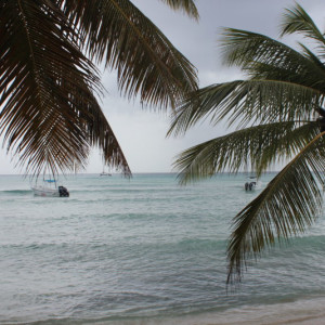 Isla Saona 1