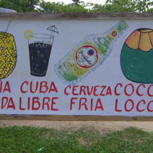DSC_3393a (Copiar)