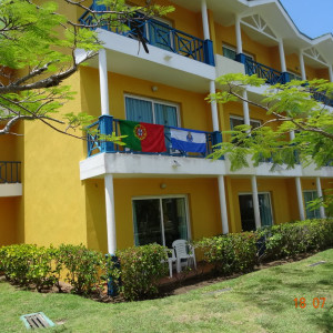 DSC03661