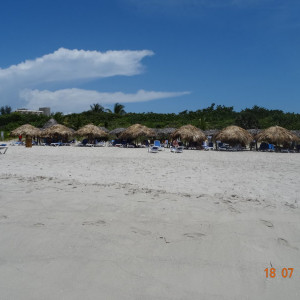 DSC03690