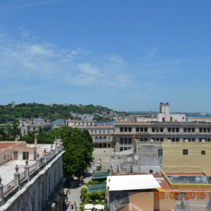 DSC_3450