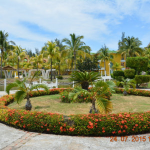 DSC_3809