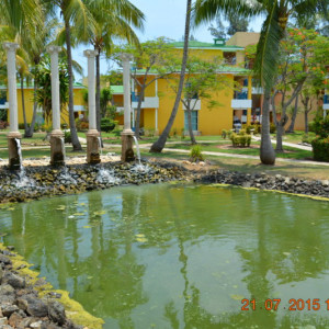 DSC_2955